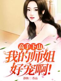 高手下山，我的师姐好宠啊！ 封面