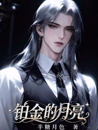 铂金的月亮 封面
