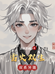雷火双生 封面