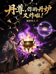 丹尊，你的丹炉又炸啦！ 封面