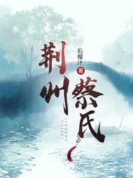 荆州蔡氏 封面