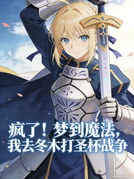 疯了梦到魔法我去东木打圣杯战争 封面
