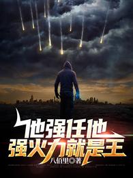 他强任他强火力就是王 封面