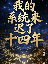 我的系统来迟了十四年 封面