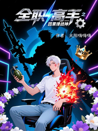 全职高手之因果律战神 封面