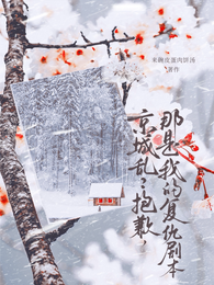京城乱?抱歉,那是我的复仇剧本 封面