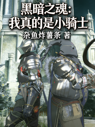 黑暗之魂：我真的是小骑士 封面