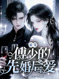 雀笼:傅少的先婚后爱 封面