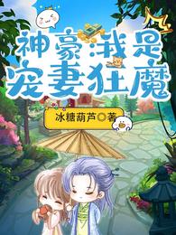 神豪：我是宠妻狂魔 封面