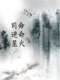 司命逆命:星火 封面
