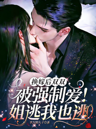 换嫁后双双被强制爱！姐逃我也逃 封面