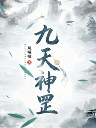九天神罡 封面