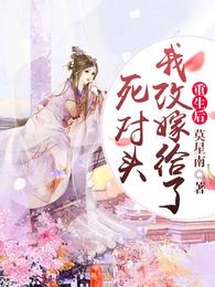 重生后我改嫁给了死对头 封面
