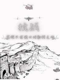 抗战：真理只在我大炮射程之内 封面