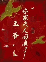 王爷，你家夫人回来了 封面