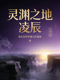 灵渊之地凌辰 封面