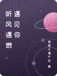 听风遇燃,遇见你 封面