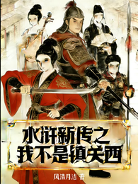 水浒新传之我不是镇关西 封面