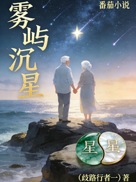 雾屿沉星 封面