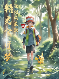 精灵宝可梦,签到成最强 封面