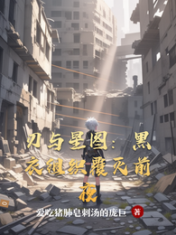 刃与星图：黑衣组织覆灭前夜 封面