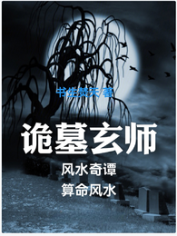 诡墓玄师风水奇谭 封面