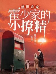 盛世欢宠：霍少家的小撩精 封面