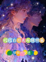 皎皎白月光不独照我 封面