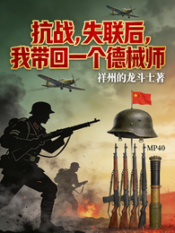 抗战失联后,我带回一个徳械师 封面