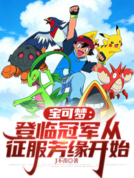 宝可梦:登临冠军从征服芳缘开始 封面