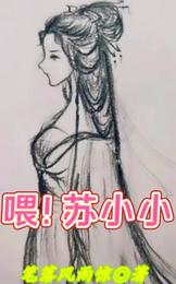 喂！苏小小 封面