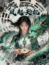 天命风水师之凤起天机 封面