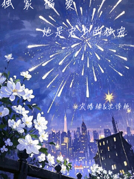 独家偏爱她是宋少的独宠 封面