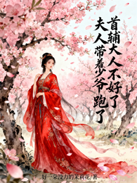 首辅大人不好了夫人带着少爷跑了 封面