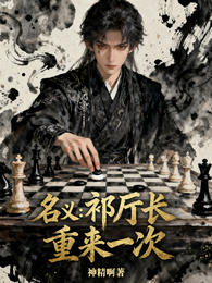 名义:祁厅长重来一次 封面