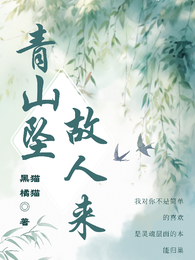 青山坠处故人来 封面