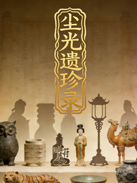 尘光遗珍录 封面