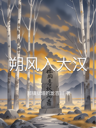 朔风入大汉 封面
