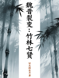 魏晋裂变:竹林七贤 封面