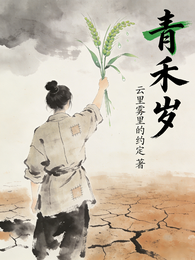 青禾岁 封面