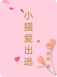 小猫爱出逃 封面