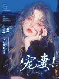 宠妻! 封面