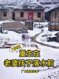 1982:重生在老婆孩子落水前 封面