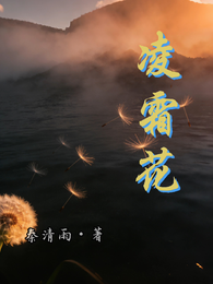 凌霜花 封面