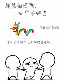 褚总很慌张,向导不好当 封面
