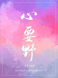 心要野 封面