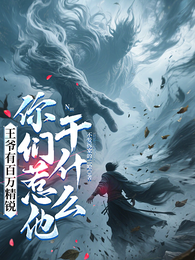 王爷有百万精锐，你们惹他干什么 封面