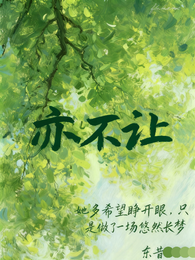 亦不让 封面