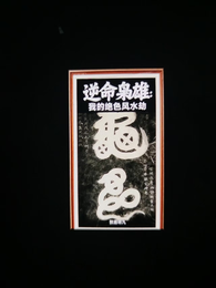 逆命枭雄:我的绝色风水劫 封面