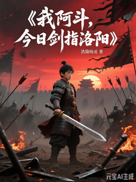 我阿斗,今日剑指洛阳 封面